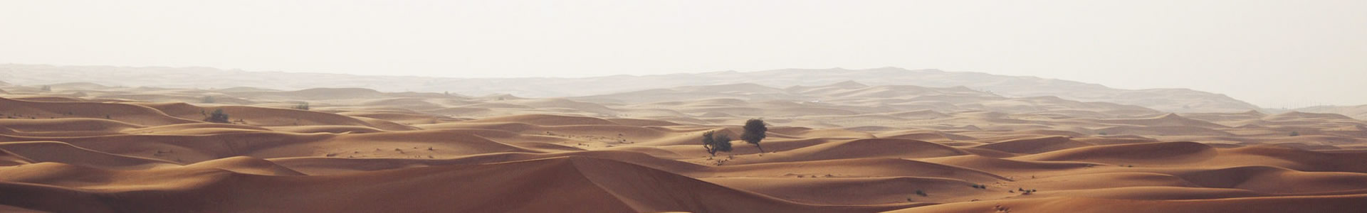 ݸֹܹܼ޹˾